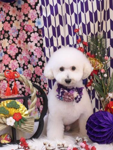 20250119ちくわくん